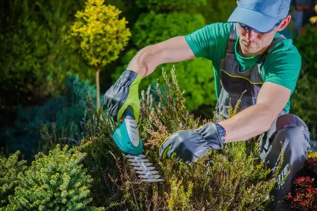 landscaping services Howard City